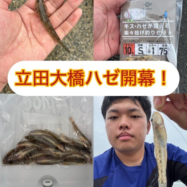 ハゼ　トップ.jpg